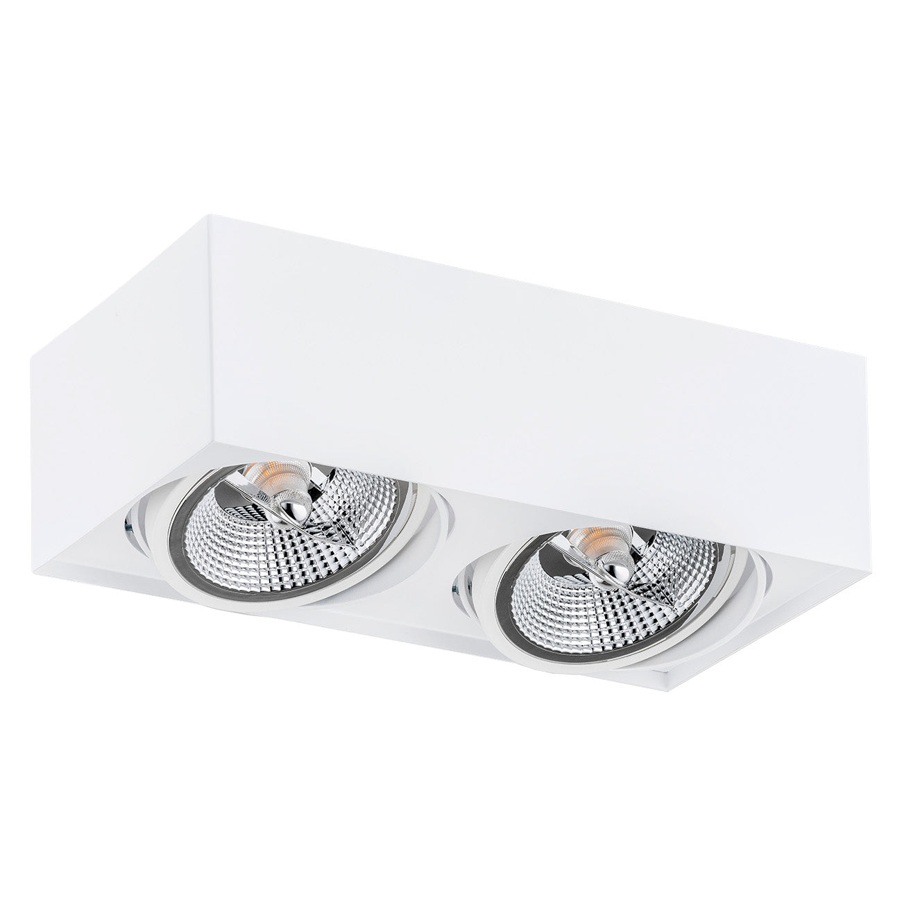 RODOS PLUS plafondspot GU10 AR111 wit of zwart