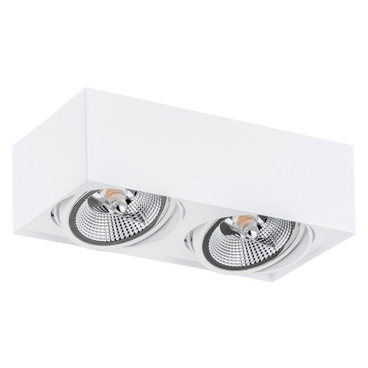 RODOS PLUS plafondspot GU10 AR111 wit of zwart