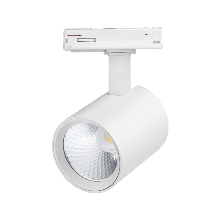 Rexavo 1-fase railspot 10W CCT