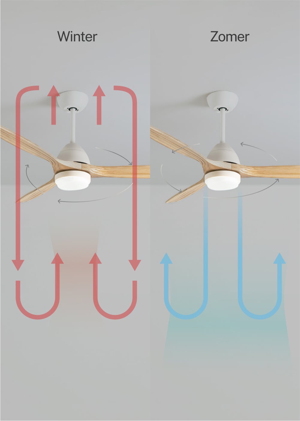 Cupavo plafondventilator wit / licht hout