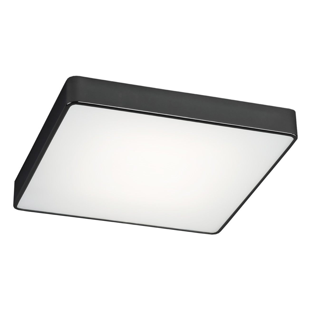 Ontario plafondlamp Zwart