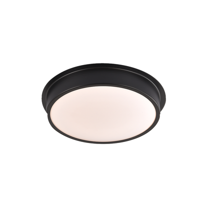 Plafondlamp RUNNER LED