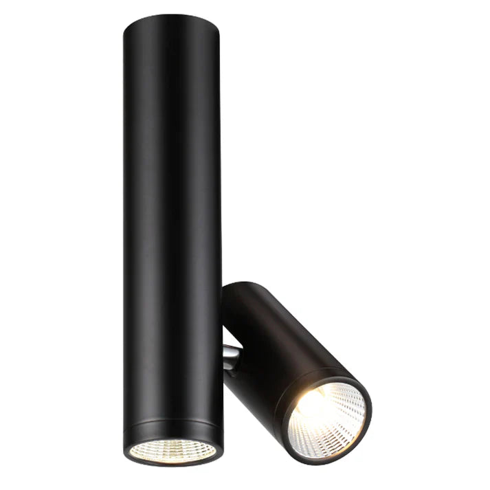 Bogado dubbele LED plafondspot