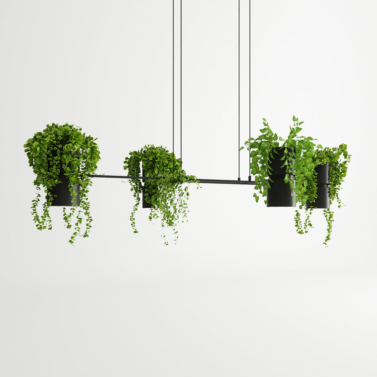 Botanica Line Schwarze Pendelleuchte