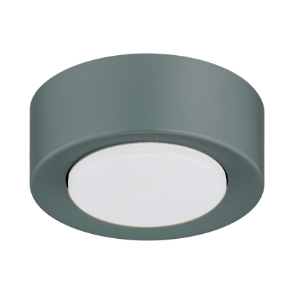 Elora plafondlamp Saliegroen