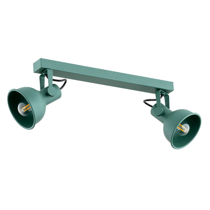 Lenora plafondlamp Groen