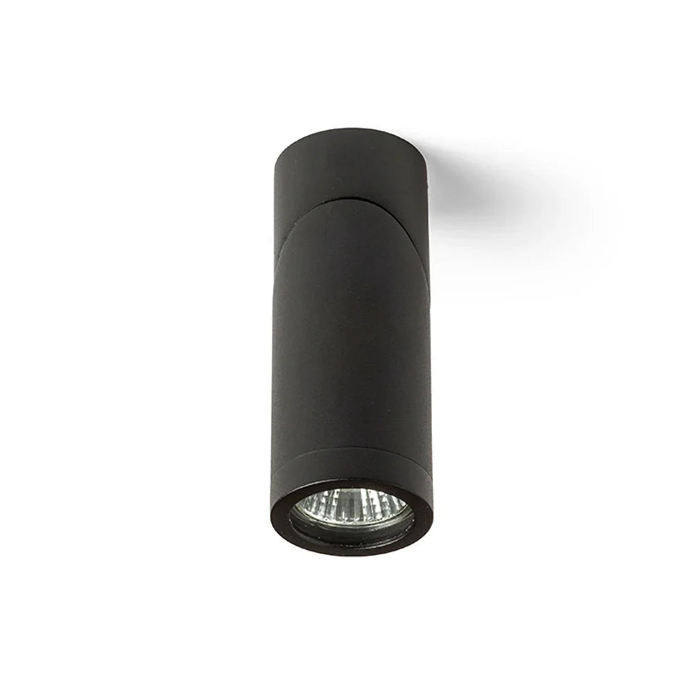 MonoCurve Spot richtbare plafondspot wit of zwart