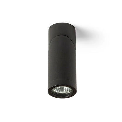 MonoCurve Spot richtbare plafondspot wit of zwart