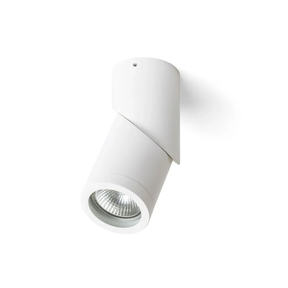 MonoCurve Spot richtbare plafondspot wit of zwart