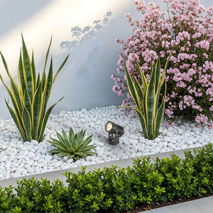 Nexaro spike garden spotlight