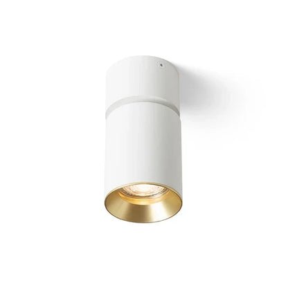 Nova Direction richtbare opbouwspot GU10 3 kleuren