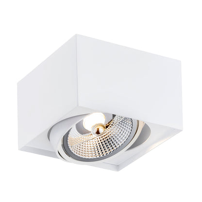 RODOS PLUS plafondspot GU10 AR111 wit of zwart