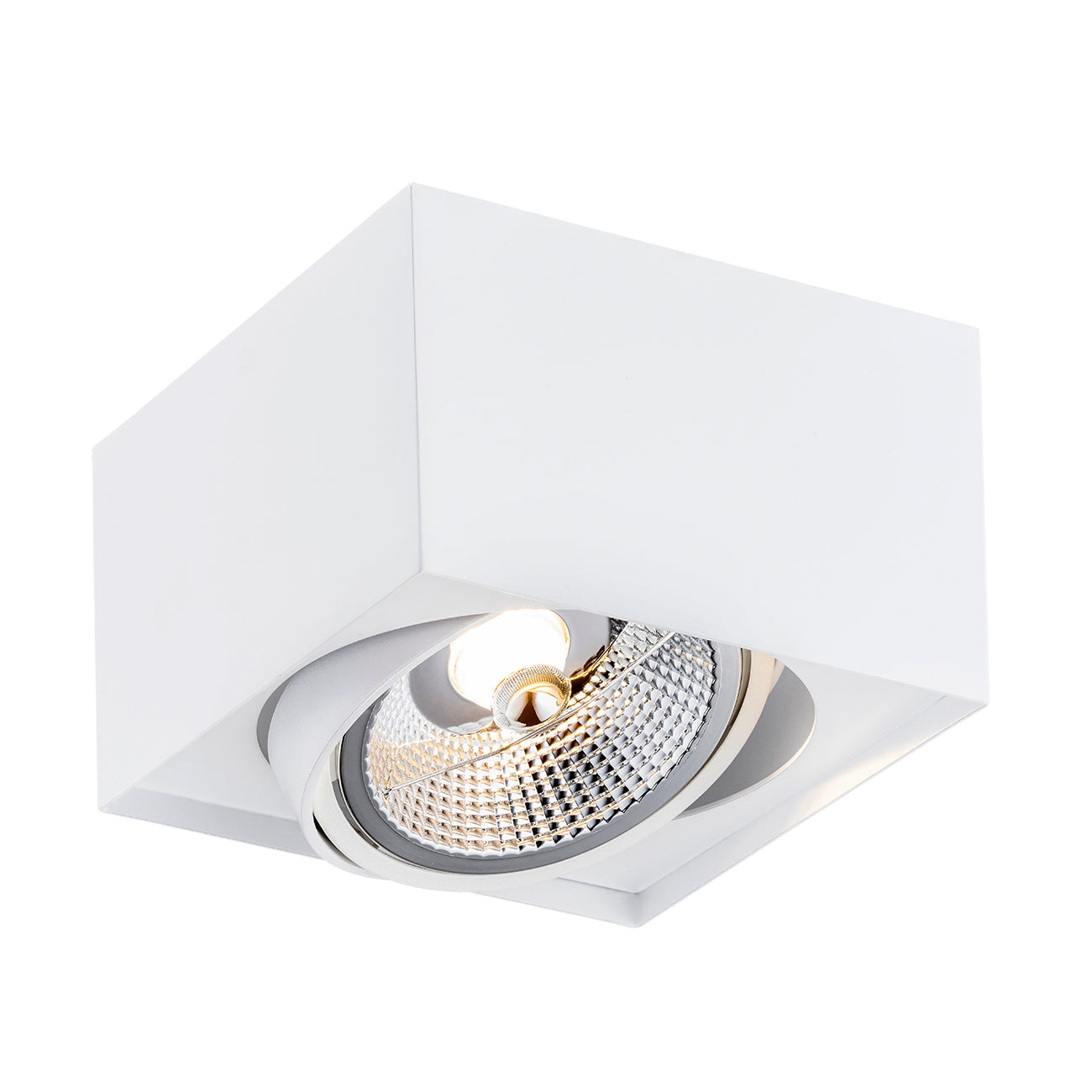 Rodos Plus plafondlamp Wit