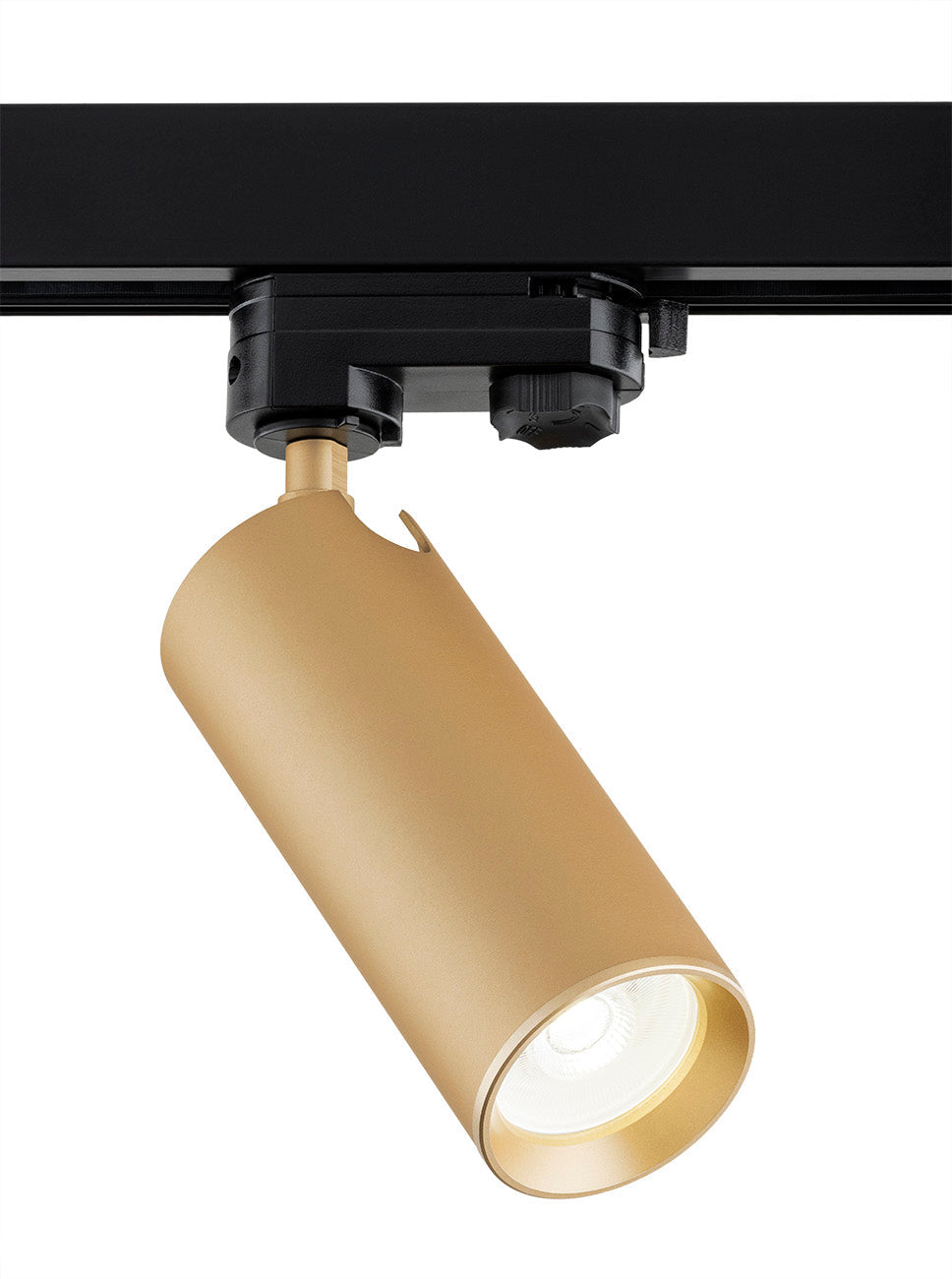 Tolvaro railspot goud
