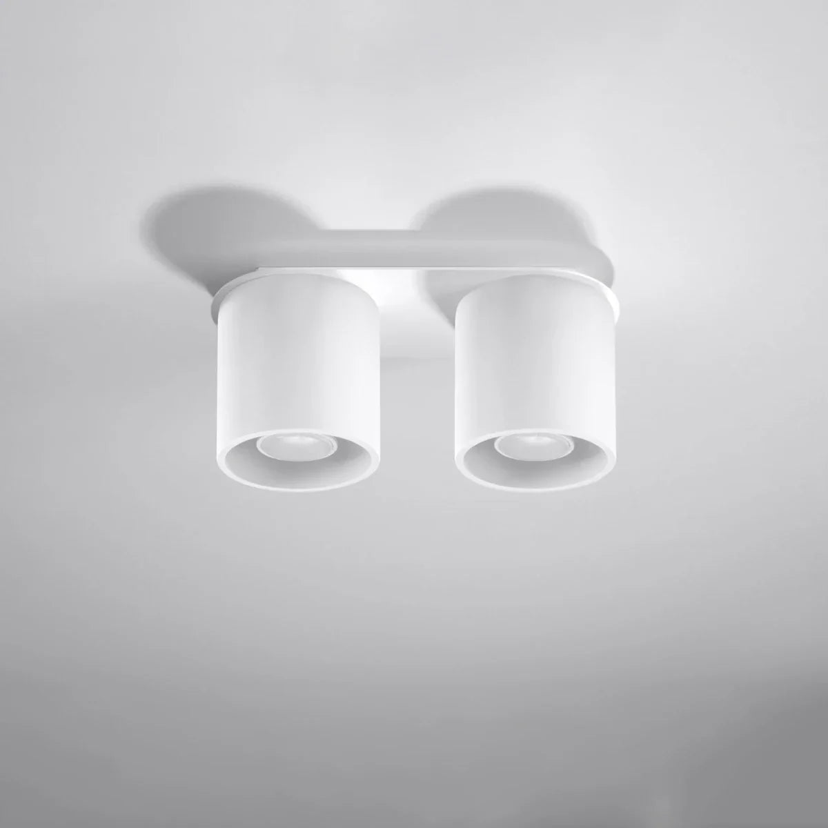Zyro 2 2-spots ronde plafondlamp wit of zwart