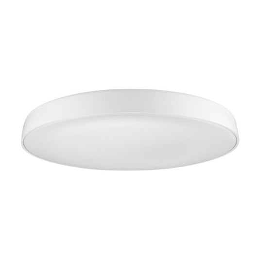 CORTONA 41 wit