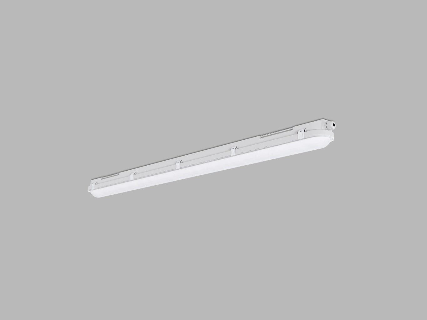 LED2 DUSTER III 120cm IP66