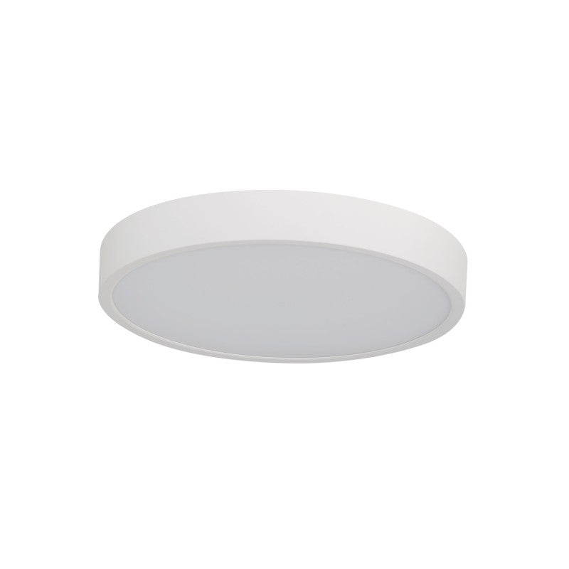PANDINO 40 sensor wit