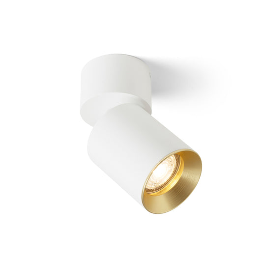 DARIO kantelbare opbouwspot messing ring, 3 kleuren